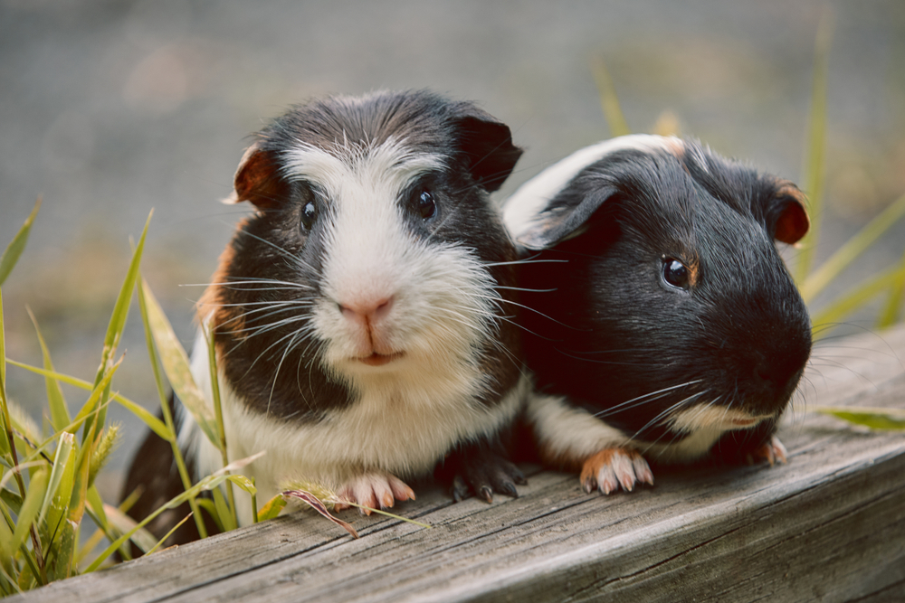 Check Out These Fun Facts You Didn’t Know