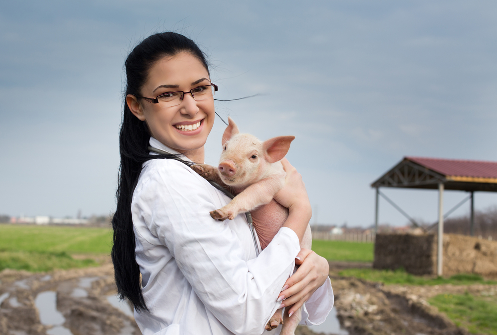 Lottery winner works on pig farm instead of living in luxury